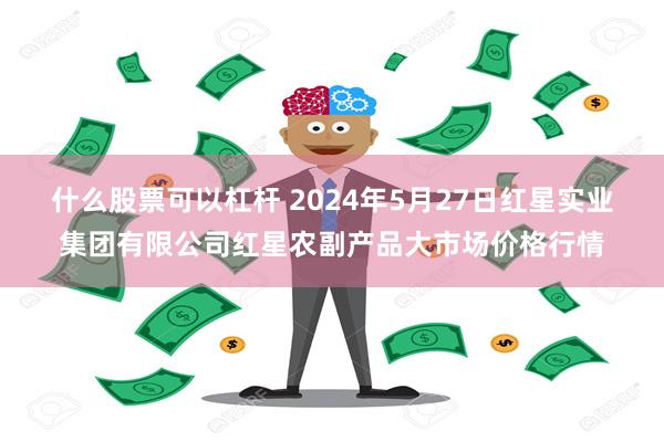 什么股票可以杠杆 2024年5月27日红星实业集团有限公司红星农副产品大市场价格行情