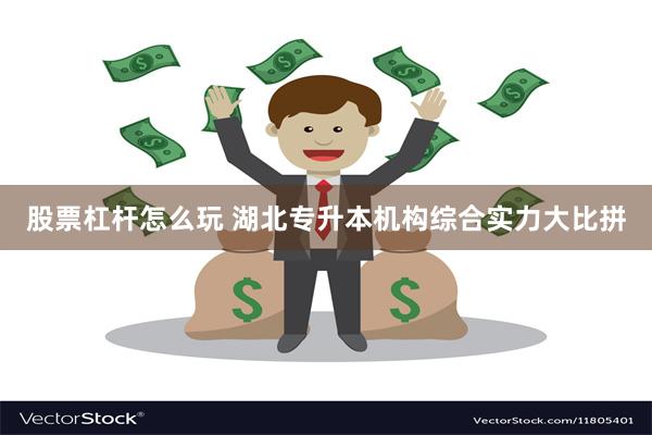 股票杠杆怎么玩 湖北专升本机构综合实力大比拼