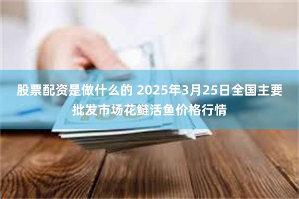 股票配资是做什么的 2025年3月25日全国主要批发市场花鲢活鱼价格行情