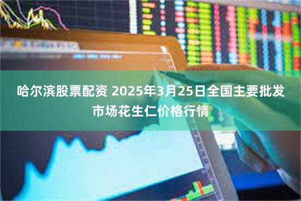 哈尔滨股票配资 2025年3月25日全国主要批发市场花生仁价格行情