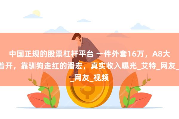 中国正规的股票杠杆平台 一件外套16万，A8大G换着开，靠驯狗走红的潘宏，真实收入曝光_艾特_网友_视频