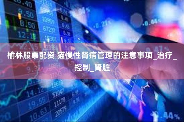 榆林股票配资 猫慢性肾病管理的注意事项_治疗_控制_肾脏