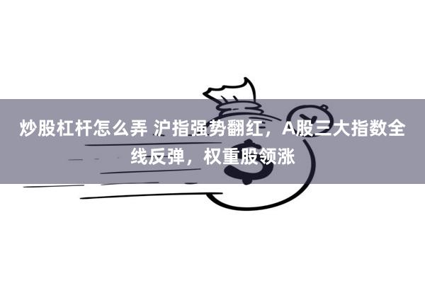 炒股杠杆怎么弄 沪指强势翻红，A股三大指数全线反弹，权重股领涨