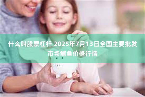 什么叫股票杠杆 2025年7月13日全国主要批发市场鳝鱼价格行情
